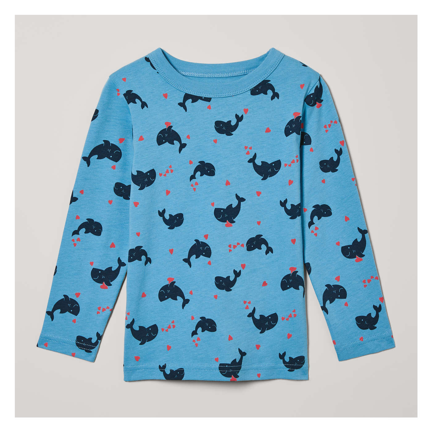 Youth & Toddler Long Sleeve Cotton Tee - Headed South - Sky Blue