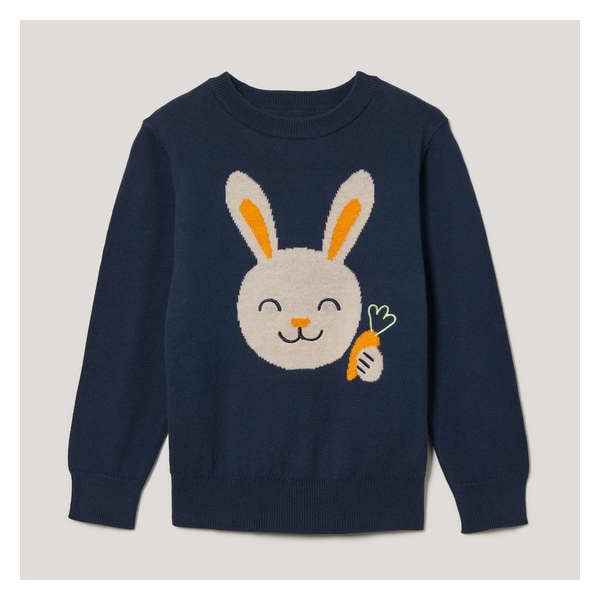 Toddler Boys' Graphic Sweater - Indigo