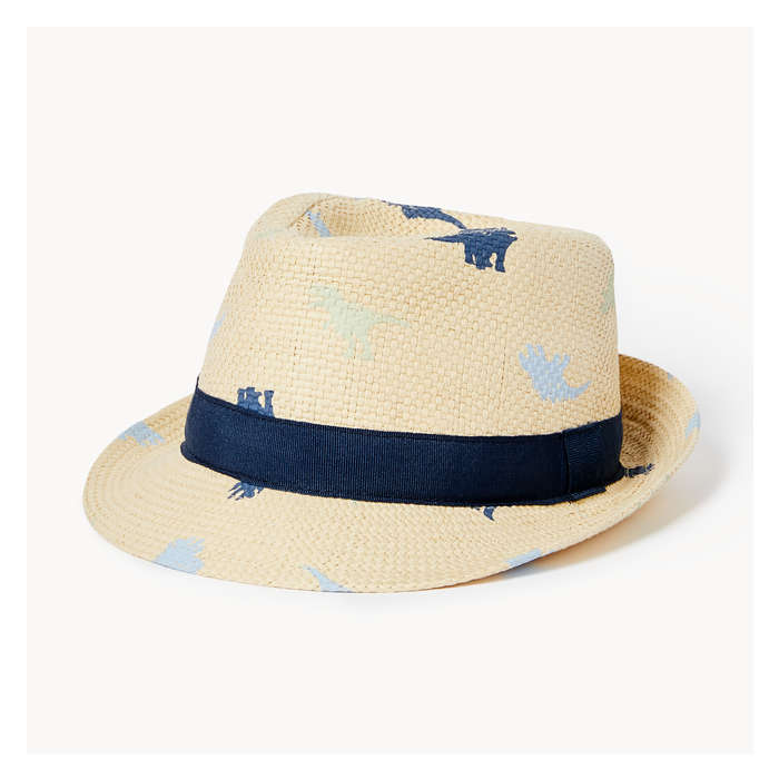 Baby Boys' Dino Fedora Hat