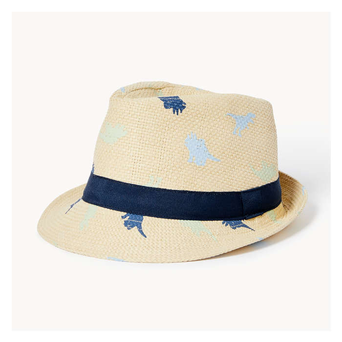 Toddler Boys' Dino Fedora Hat