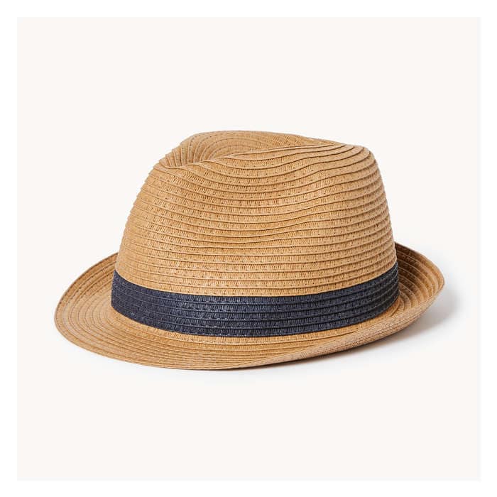 Men's Striped Fedora