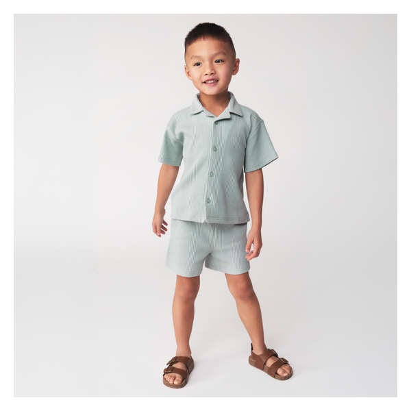 Toddler Boys' 2-Piece Short Set - Dusty Teal
