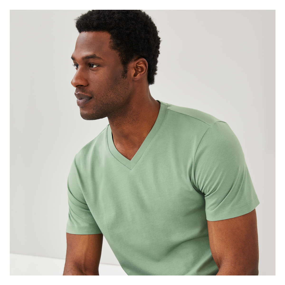Men's Organic Cotton V-Neck T-Shirt